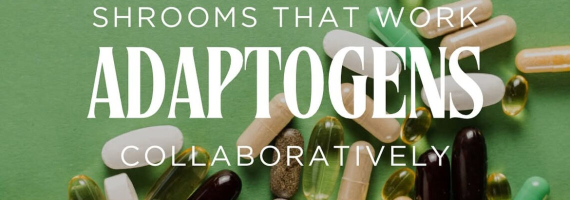 Adaptogens: Shrooms That Work Collaboratively.