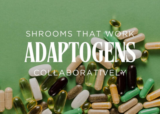 Adaptogens: Shrooms That Work Collaboratively.