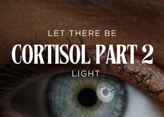 Cortisol Part ||: Let There Be Light