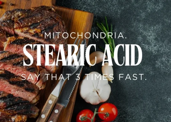 STEARIC ACID: Mitochondria. Say That 3 Times Fast.