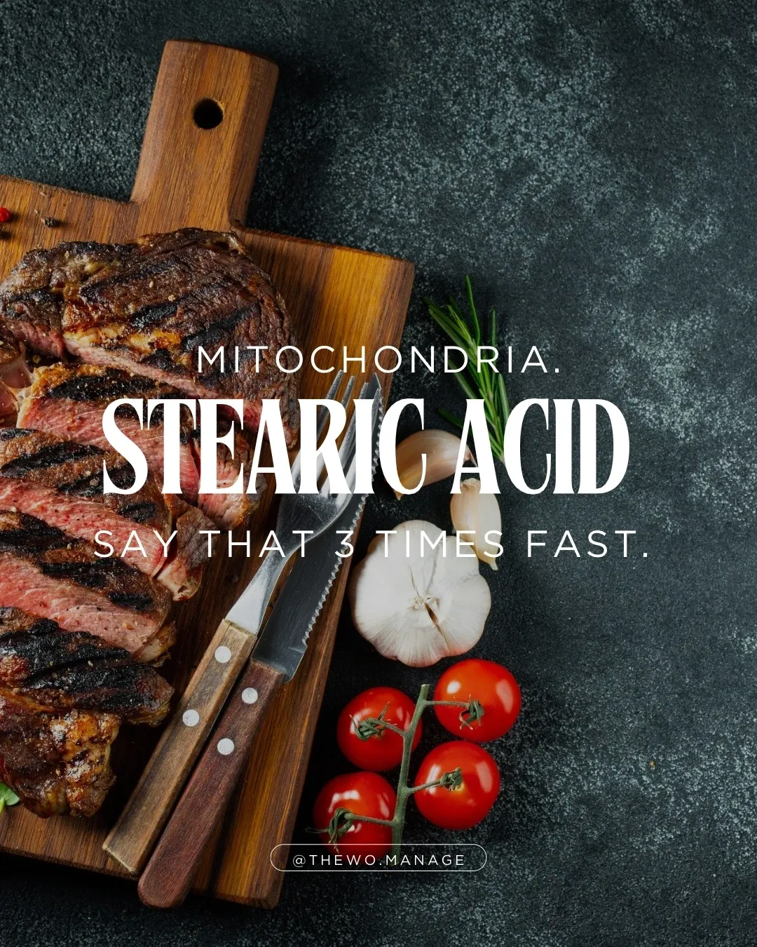 STEARIC ACID: Mitochondria. Say That 3 Times Fast.