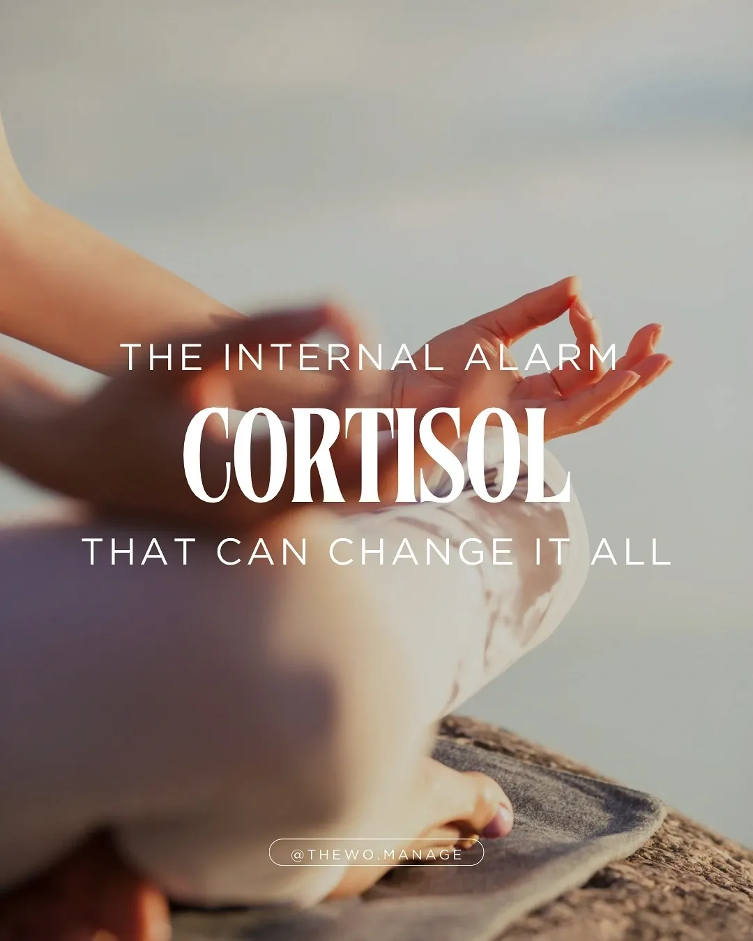 CORTISOL: The Internal Alarm that can Change it All.