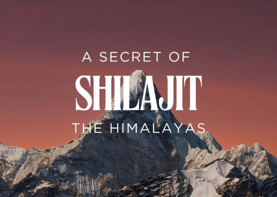 Shilajit: A Secret of the Himalayas