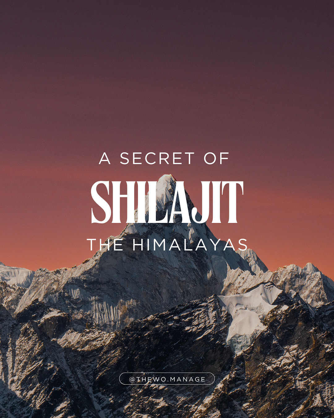 Shilajit: A Secret of the Himalayas